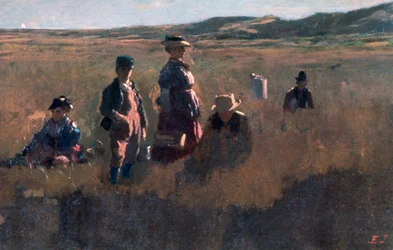 Auf dem Feld