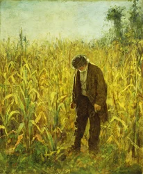 Mann in einem Maisfeld