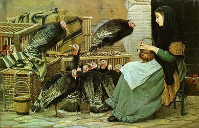 Weihnachtsmarkt für Truthähne in Rom