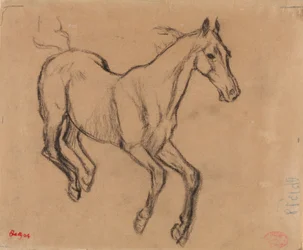 Galoppierendes Pferd