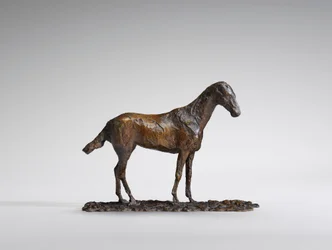 Studie eines Mustangs
