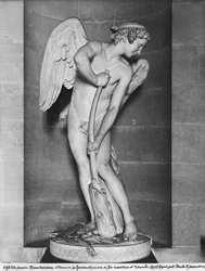 Cupidus schnitzt seinen Bogen aus der Keule des Herkules, 1747-50