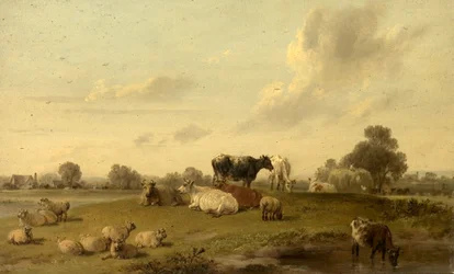 Landschaft mit Rindern und Schafen