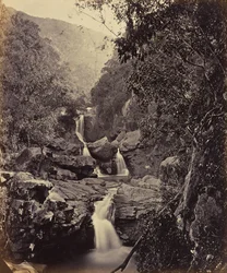 Lichtfälle. Coonoor Ghant