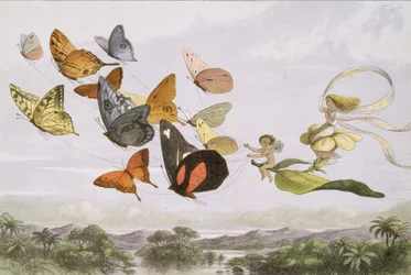 Im Märchenland: Eine Serie von Bildern aus der Elfenwelt, 1870