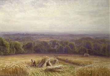 Ernte
