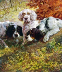 Setter