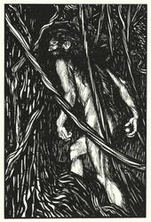 Illustration für Sartor Resartus