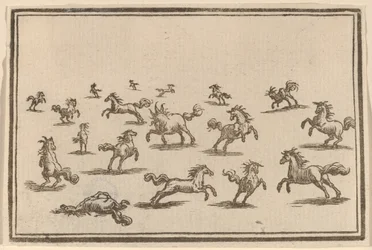 Pferde rennen