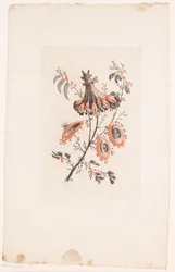 Blumen in Schirmform