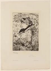 Jeanne (Frühling)