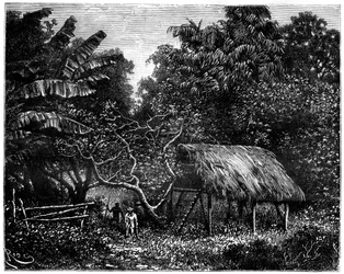 Guyana, Südamerika, 19. Jahrhundert