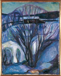 Oslo, Winterlandschaft, Ekely