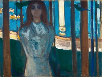Sommernacht. Die Stimme