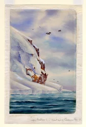 Kap Wadsworth, Coulman Island