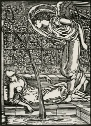 Cupids erster Blick auf Psyche