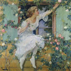 Wilde Rosen