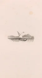 Neapel (Vignette)