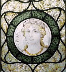 Venus, 1886