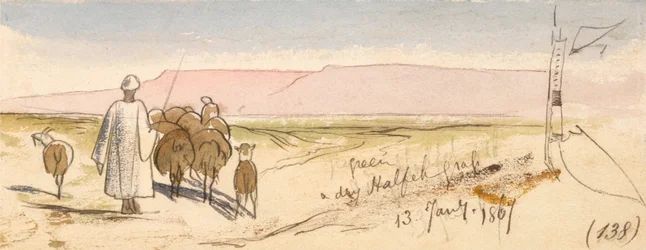 Ein trockenes Halfeh-Gras