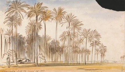 Kourayim