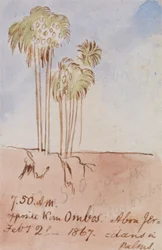 Gegenüber von Kom Ombos Abu Jer