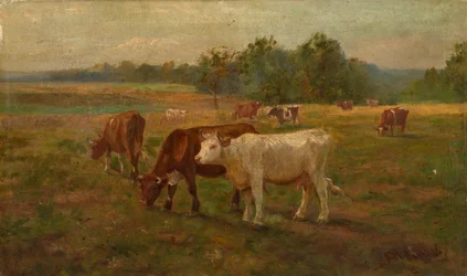 Kühe, n.d.