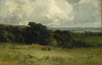 Angenehme Weiden