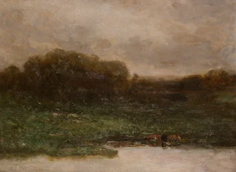 Sommerdämmerung