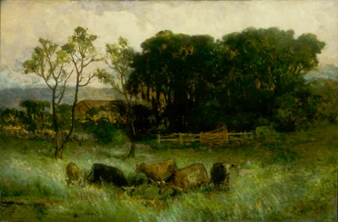 Ohne Titel (fünf Kühe auf der Weide)