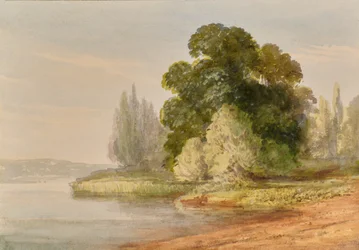 Landschaft mit Bäumen