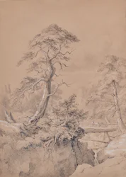 Landschaft mit Holzbrücke