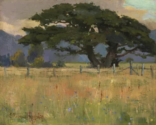 Eine Wiese unter Bergen, 1897