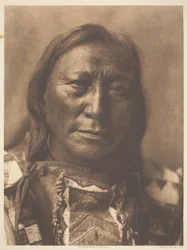 Hollow Horn Bear