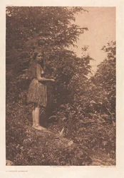 Portfolio IX, Platten 293-328