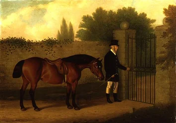 Ein Gentleman führt einen Welsh Cob an einem Gartentor