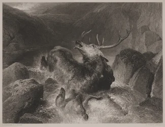 Tod des Hirsches, graviert von John Cousen (1804-80)