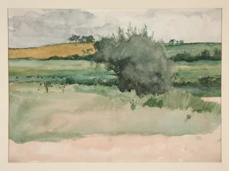 Landschaft - Felder
