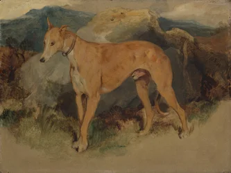Ein Hirschhund, 1826