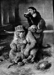 Der kranke Affe, 1875, 1912