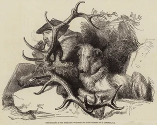 Hirschjagd in den Highlands, den Körper beobachtend