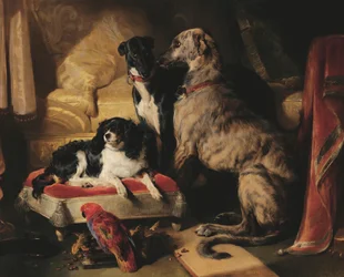 Hector, Nero und Dash mit dem Papagei Lory