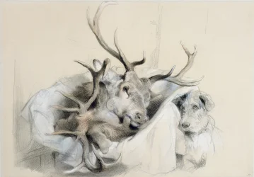 Hirschköpfe und Hund, 1857