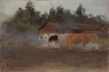 Kühe im Torfrauch, Studie