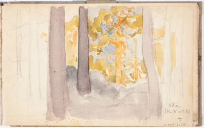 Waldlandschaft, Seite aus Järnefelts Skizzenbuch
