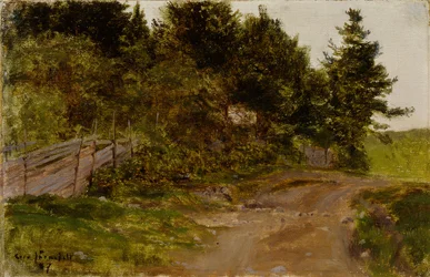 Weg im Wald