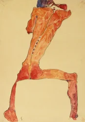 Mannerrückenhaut