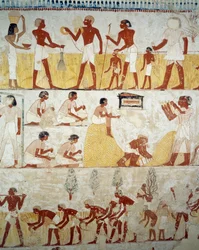 Ernte, Dreschen und Worfeln von Getreide (Detail)