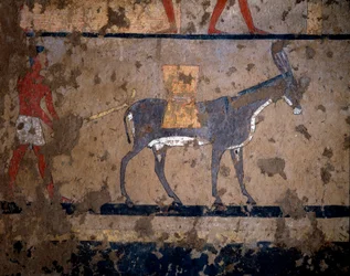 Ägyptische Antiquität: "Der Getreidetransport auf dem Rücken eines Maultiers". Temperamalerei an der Wand des Grabes des Kanzlers von König Iti (oder Ity) 2200-2000 v. Chr. Aus El Ghebelen, Luxor. Turin, Ägyptisches Museum