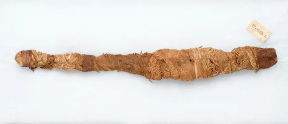 Mumie eines Krokodils, gefunden in Manfalont, 305-30 v. Chr.
